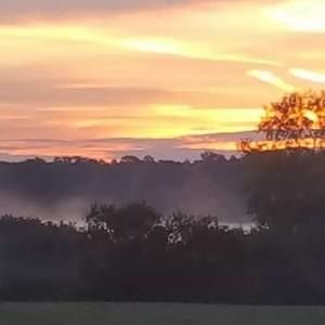 Meet your Posher, Barb